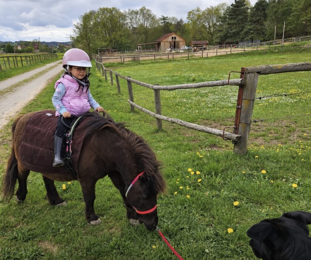 Ponyreiten